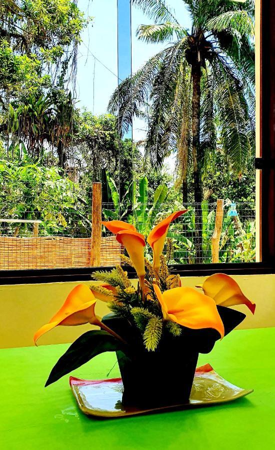 Bela Ipê Pousada Hostel Apart Morro de Sao Paulo Bagian luar foto